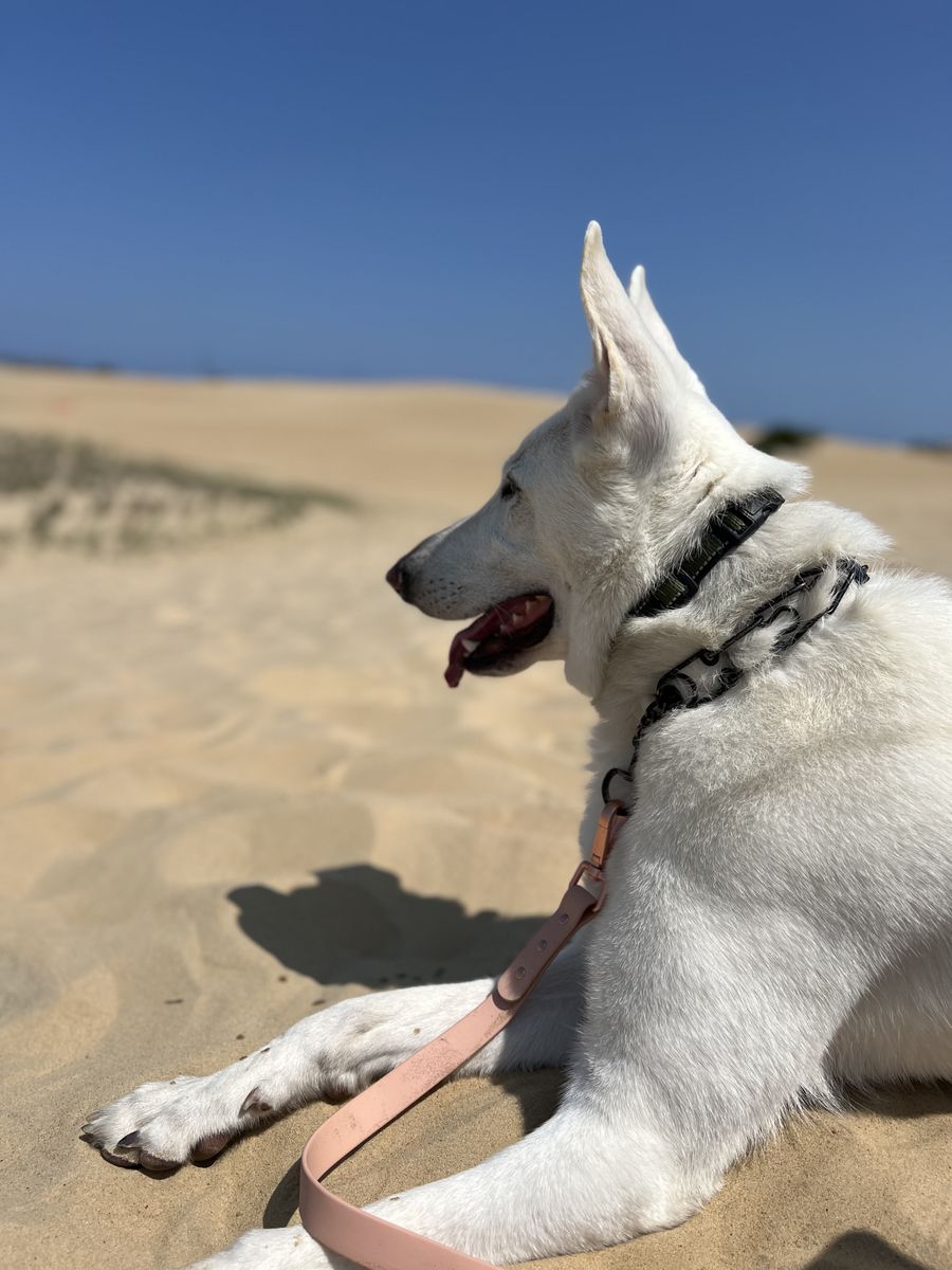 Beautiful trail adventure